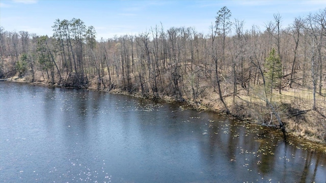 TBD E Deer Lake Rd, Grand Rapids, MN 55744
