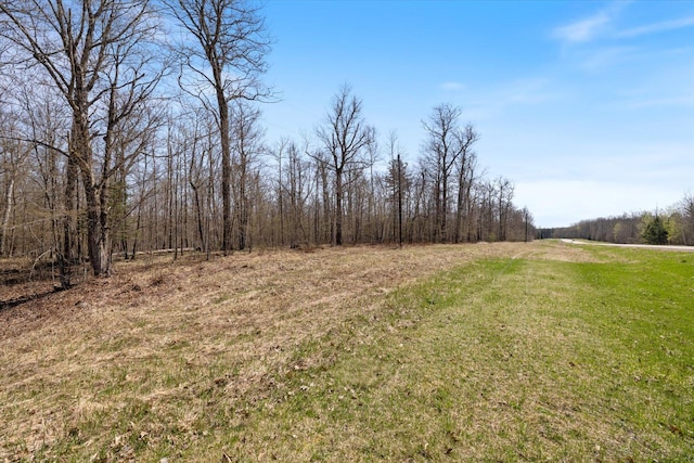 TBD E Deer Lake Rd, Grand Rapids, MN 55744