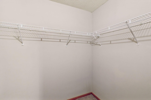 1515 Yorkshire Ln, Shakopee, MN 55379 - spacious closet with carpet