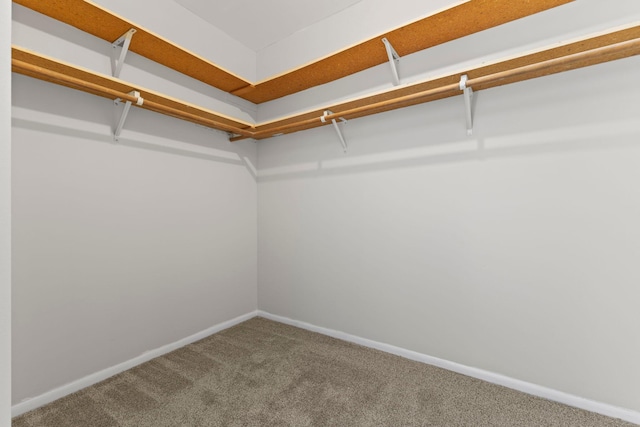 spacious closet with carpet flooring