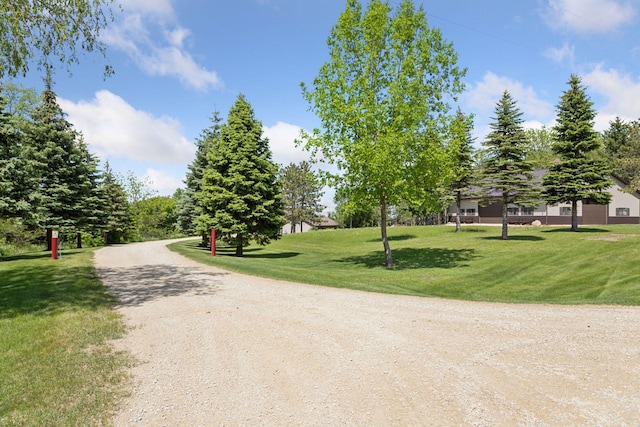 32875 Stanton Trl, Cannon Falls, MN 55009 - view of dirt / gravel road