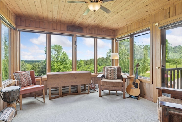 32875 Stanton Trl, Cannon Falls, MN 55009 - sunroom / solarium featuring carpet floors, wood walls, and wood ceiling