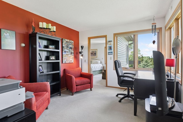 32875 Stanton Trl, Cannon Falls, MN 55009 - view of carpeted home office