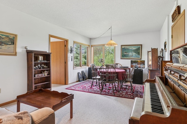 32875 Stanton Trl, Cannon Falls, MN 55009 - dining room with carpet and a textured ceiling