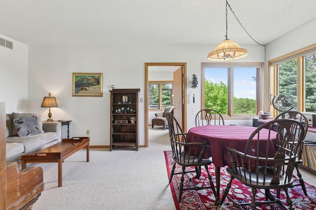 32875 Stanton Trl, Cannon Falls, MN 55009 - carpeted dining space featuring plenty of natural light, a textured ceiling, and baseboards