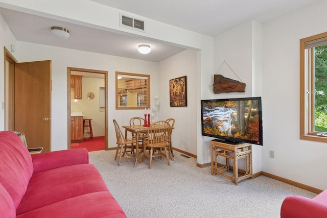 32875 Stanton Trl, Cannon Falls, MN 55009 - carpeted living area with baseboards