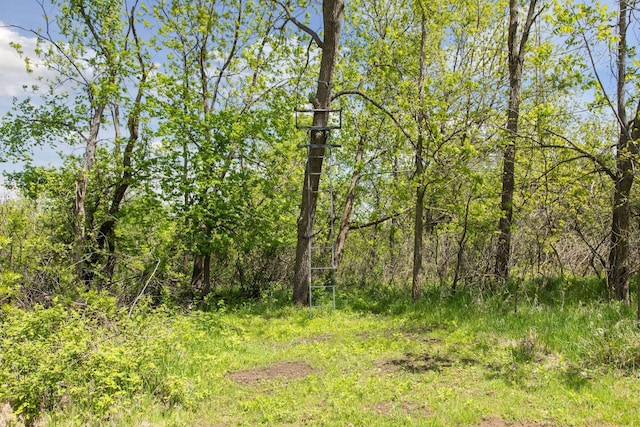 32875 Stanton Trl, Cannon Falls, MN 55009 - view of nature