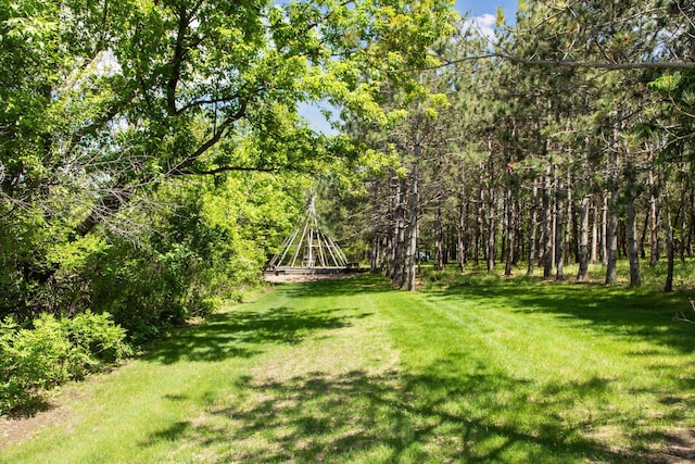 32875 Stanton Trl, Cannon Falls, MN 55009 - view of grassy yard featuring a view of trees