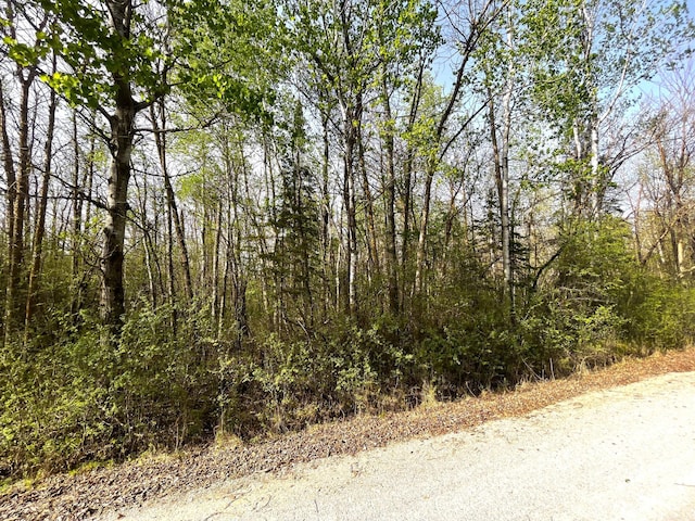 TBD 585th Ave, Warroad, MN 56763