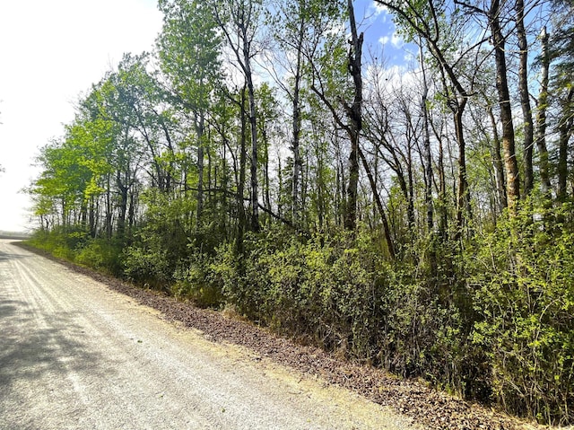 TBD 585th Ave, Warroad, MN 56763