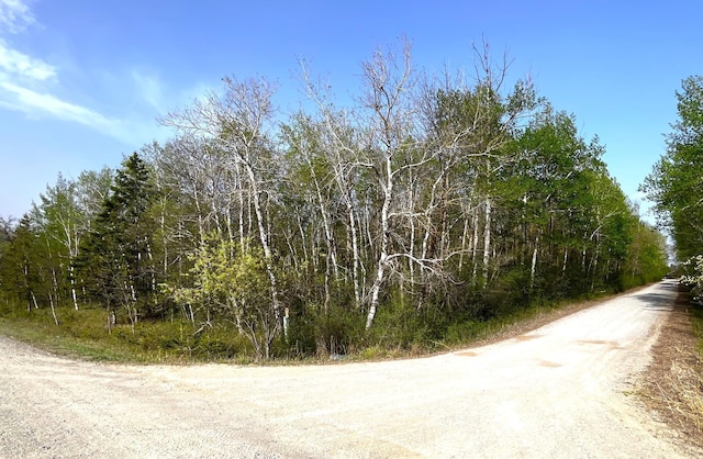 TBD 585th Ave, Warroad, MN 56763