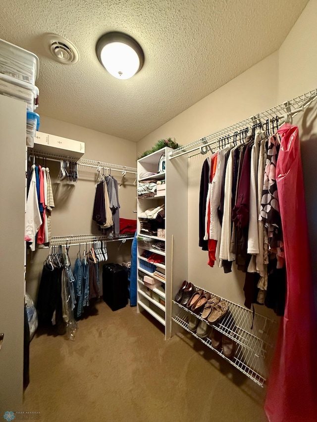 3823 43rd Ave S, Moorhead, MN 56560 - spacious closet with carpet