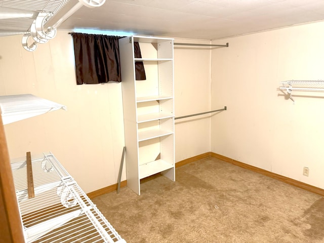 1611 Graydon Ave, Brainerd, MN 56401 - walk in closet with carpet