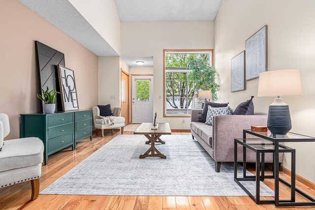 living room with wood finished floors and baseboards