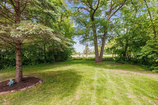 5651 164th Ln NW, Ramsey, MN 55303 - view of green lawn
