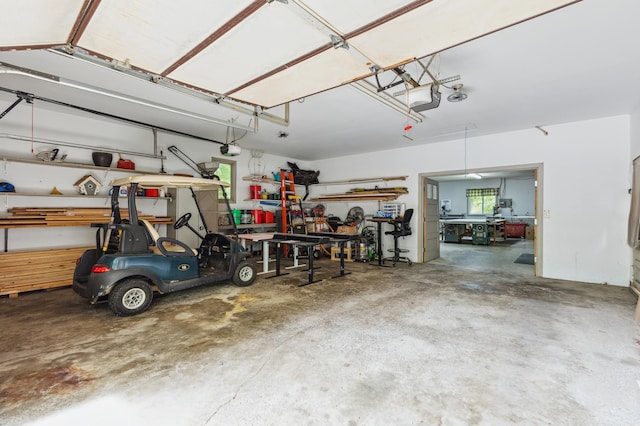 5651 164th Ln NW, Ramsey, MN 55303 - garage featuring a garage door opener