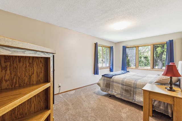 5651 164th Ln NW, Ramsey, MN 55303 - carpeted bedroom with baseboards and a textured ceiling
