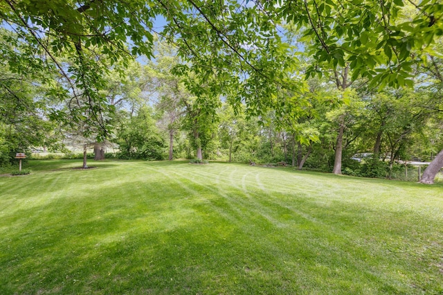 5651 164th Ln NW, Ramsey, MN 55303 - view of green lawn