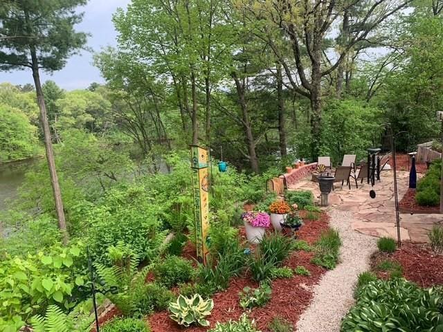 view of yard featuring a fire pit, a patio area, and a forest view