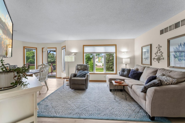 2001 Stonepine Ave, Hudson, WI 54016 - living area featuring healthy amount of natural light, a textured ceiling, and wood finished floors