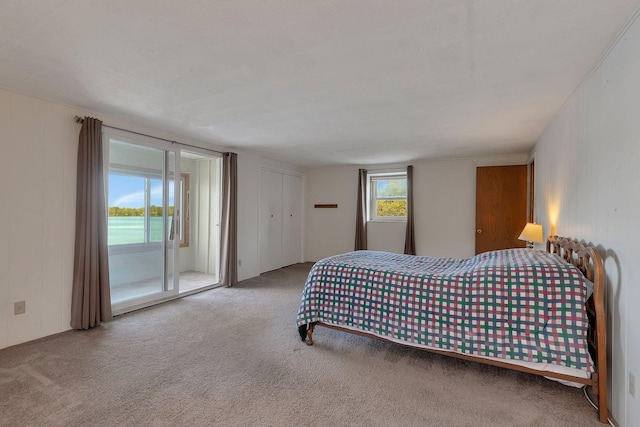 6032 Quinn Ave NW, Annandale, MN 55302 - bedroom with carpet floors and access to exterior