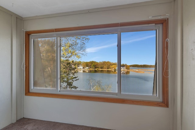 6032 Quinn Ave NW, Annandale, MN 55302 - detailed view of carpet floors and a water view