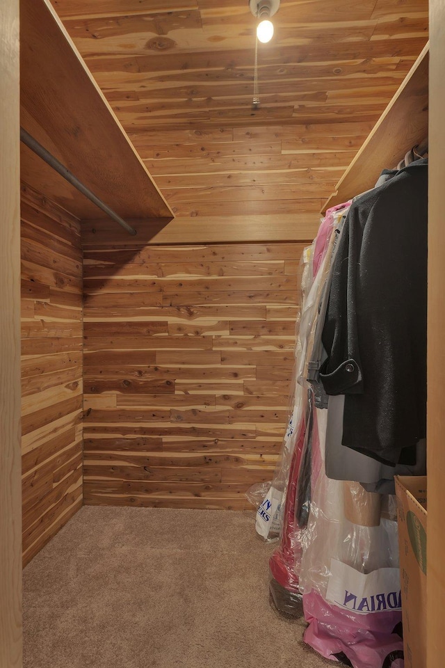 6032 Quinn Ave NW, Annandale, MN 55302 - spacious closet featuring carpet flooring