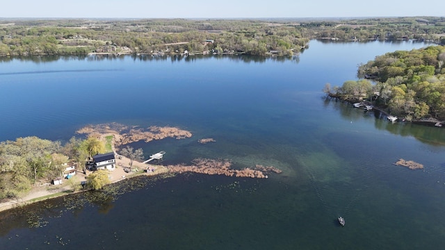6032 Quinn Ave NW, Annandale, MN 55302 - bird's eye view of a forest and a large body of water