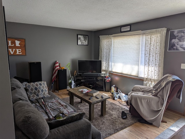 305 6th St SW, Kasson, MN 55944 - living area featuring wood finished floors and a textured ceiling