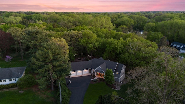648 Sunset Ln, Mendota Heights, MN 55118 - aerial view at dusk of a wooded view