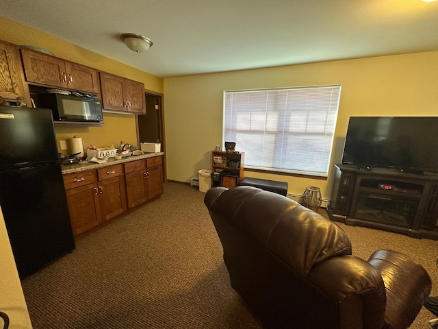 carpeted living room with a sink