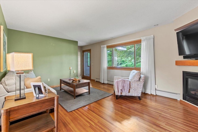 5935 County Road 11, Independence, MN 55359 - living area with baseboard heating, a glass covered fireplace, and light wood finished floors