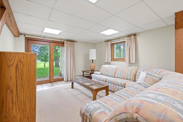 5935 County Road 11, Independence, MN 55359 - living area featuring light colored carpet, a drop ceiling, and a baseboard radiator