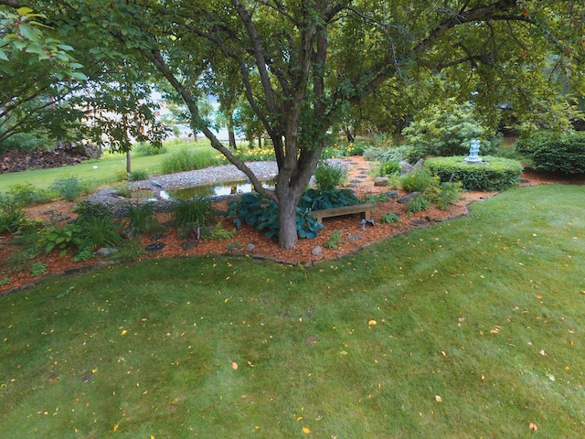 5155 Allen Dr, Woodbury, MN 55129 - photo 21