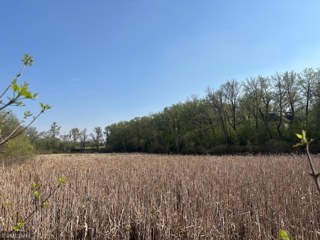 TBD Betsy Ross Rd NW, Ida Twp, MN 56308 - photo 7