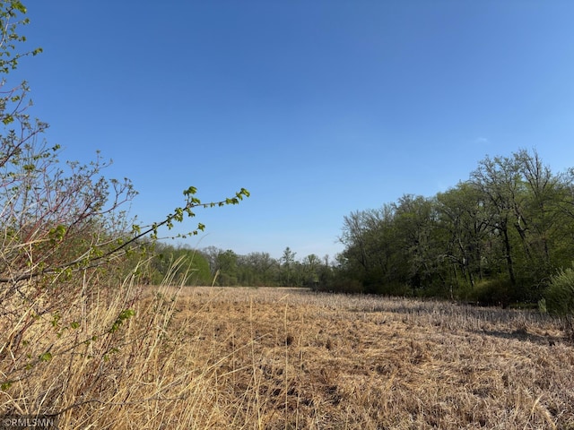 TBD Betsy Ross Rd NW, Ida Twp, MN 56308 - photo 8