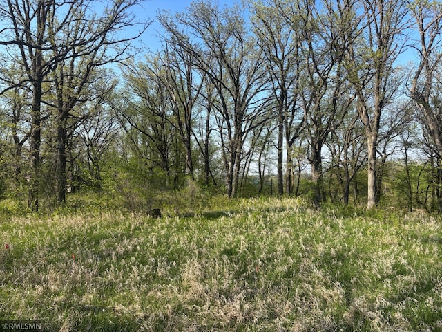 TBD Betsy Ross Rd NW, Ida Twp, MN 56308 - photo 11