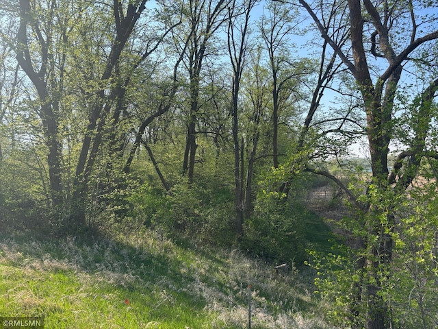 TBD Betsy Ross Rd NW, Ida Twp, MN 56308 - photo 12