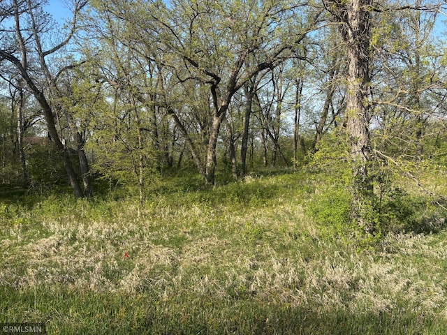TBD Betsy Ross Rd NW, Ida Twp, MN 56308 - photo 13