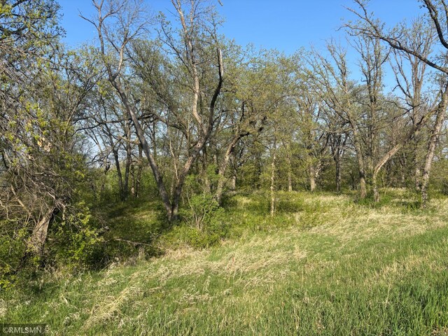 TBD Betsy Ross Rd NW, Ida Twp, MN 56308 - photo 14