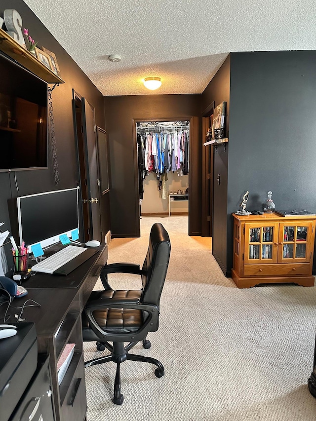 309 Oconnor St, Lakefield, MN 56150 - carpeted home office with a textured ceiling