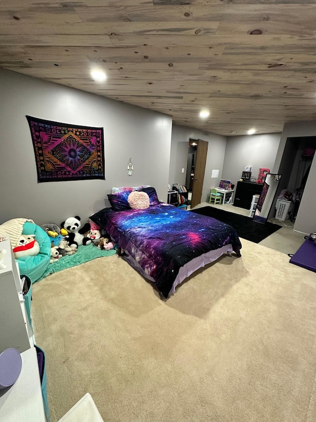 309 Oconnor St, Lakefield, MN 56150 - bedroom with carpet and recessed lighting