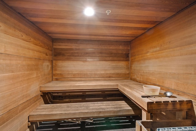13560 Technology Dr Unit 1207, Eden Prairie, MN 55344 - sauna / steam room with wood walls and wooden ceiling