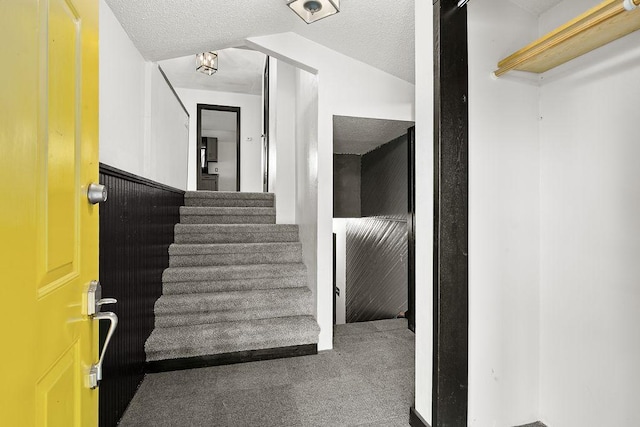 19867 Twin Lakes Rd, Darling Twp, MN 56345 - stairs featuring carpet flooring and a textured ceiling