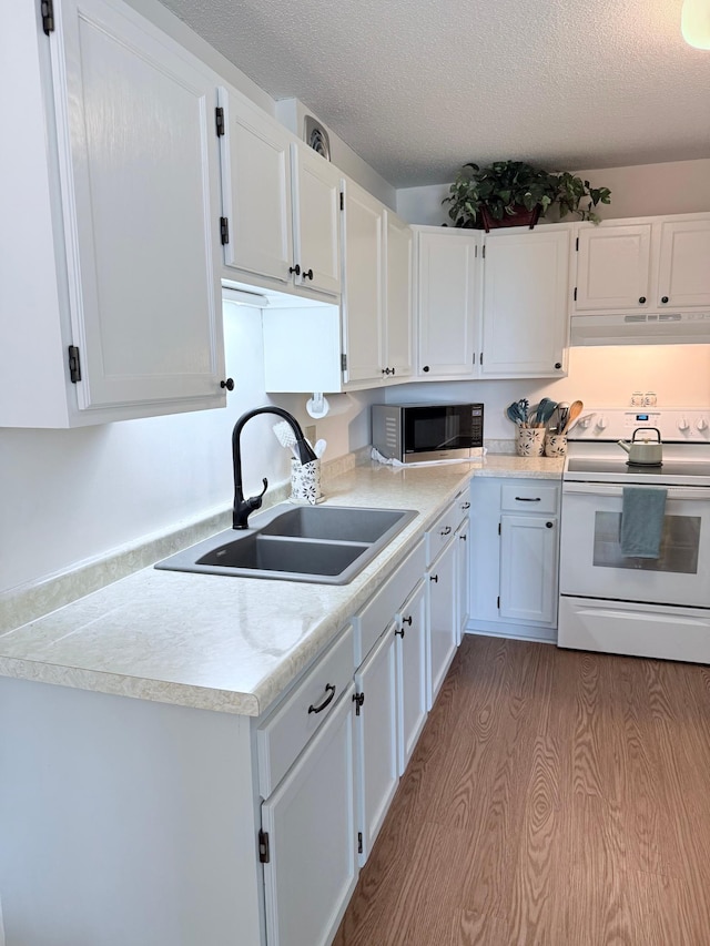 6615 Lake Shore Dr S Unit 415, Richfield, MN 55423 - kitchen with electric stove, stainless steel microwave, a sink, under cabinet range hood, and white cabinetry