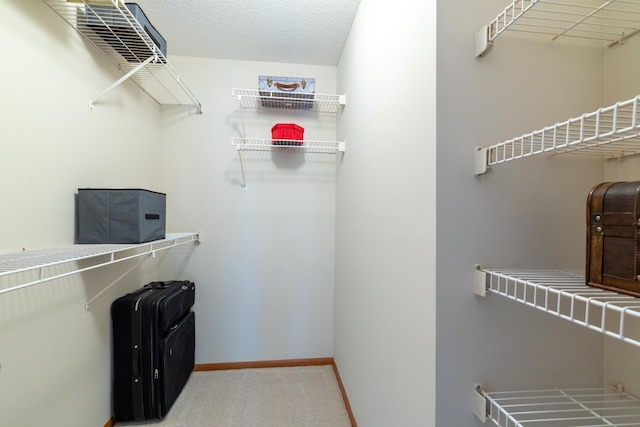 7625 Edinborough Way Unit 2116, Edina, MN 55435 - walk in closet featuring carpet floors