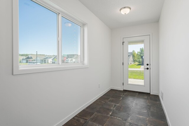 1129 Tiger Ct NE, Isanti, MN 55040 - doorway featuring stone tile floors and baseboards