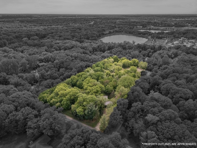 13640 Alamo St NE, Ham Lake, MN 55304 - aerial view of a forest and a large body of water