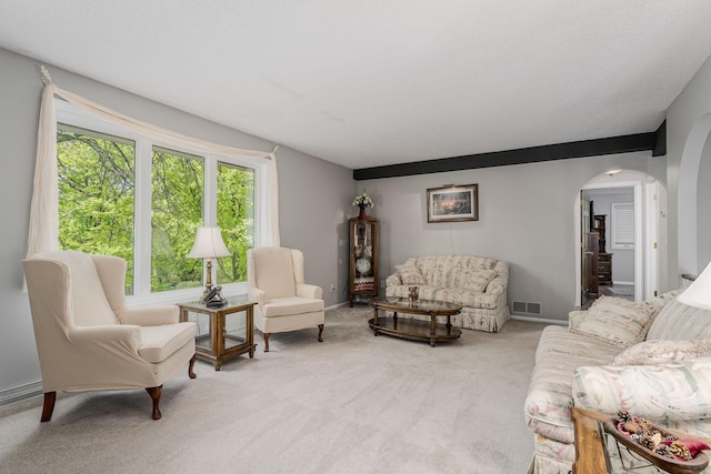 13640 Alamo St NE, Ham Lake, MN 55304 - living room with arched walkways, light colored carpet, and baseboards