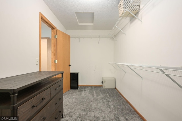 walk in closet with carpet floors